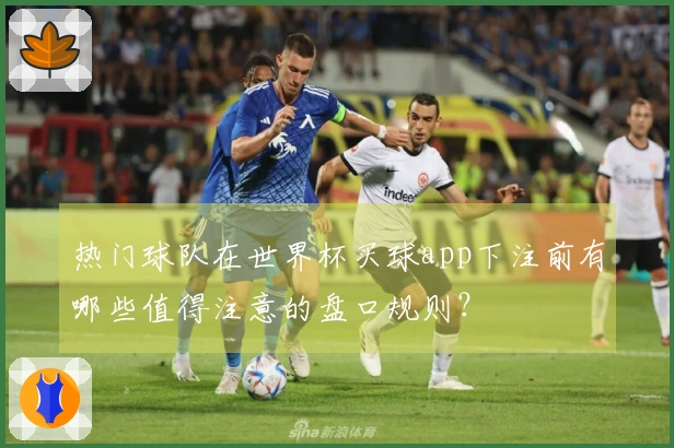 热门球队在世界杯买球app下注前有哪些值得注意的盘口规则？