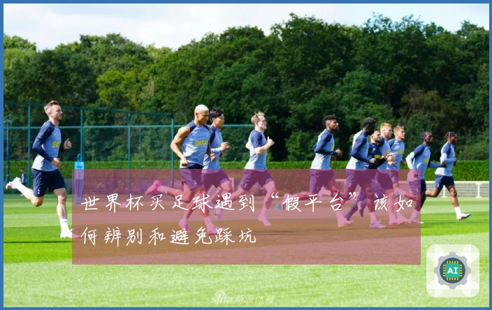 世界杯买足球遇到“假平台”该如何辨别和避免踩坑