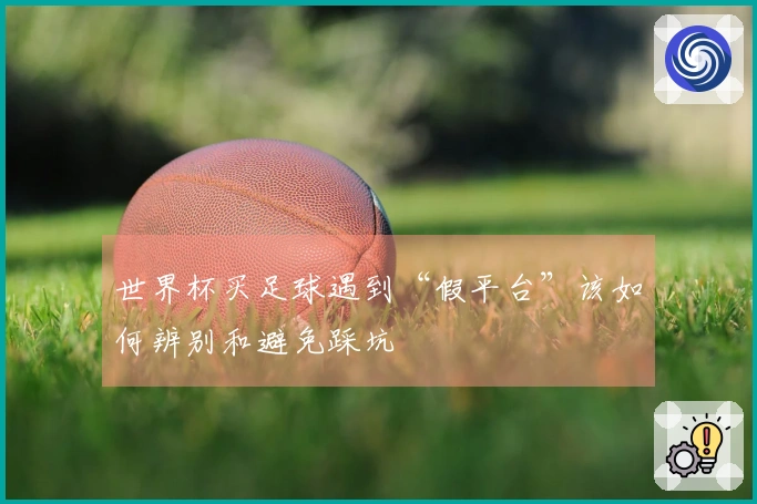 世界杯买足球遇到“假平台”该如何辨别和避免踩坑